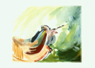 birdinflightverysmall.jpg