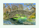 centralparkpondverysmall.jpg