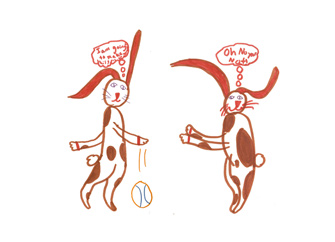rabbitbasketballpart3cardforweb.jpg