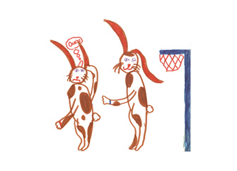 rabbitbasketballpart6cardforweb.jpg